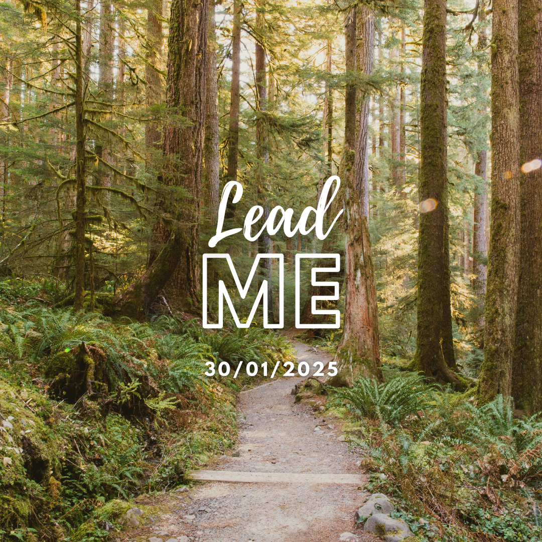 Lead Me